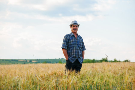 elder in agriculture, the senior farmer stands tall with his hands in his pocket,, wearing a hat, capturing the essence of experience and resilience in the midst of the flourishing wheat crop,の写真素材