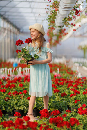 A cheerful white girl holds a pot with a red flower in her hands. The child is in a wonderful mood. Looks into the distance. kid and copy spaceの写真素材