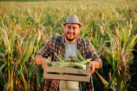 Front view looking at camera a young farmer worker in the field show us a box with a crop in his hands and laughs merrily. A joyful man cannot hold back emotions. Corn field background. Copy space.の写真素材