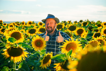 bearded aged farmer man in hat joyful and showing thumb up in field at sunrise. on it a blue checked shirt in squares and he standing on sunflower field at sunset. Senior man smiling and looking at cameraの写真素材