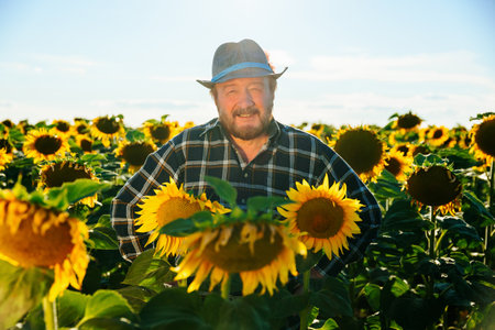 senior Caucasian handsome happy bearded man farmer standing in sunflower field and smiling to camera. Portrait of cheerful male worker in agricultural farmland. Agriculture farming.の写真素材