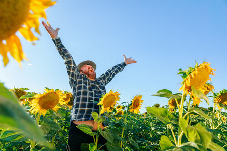 delighted aged Farmer bearded man standing with arms raised on the sunflower field before the harvest. happy real People screaming freedom on nature concept. Organic farmer checking, agriculture business concept. copy spaceの写真素材