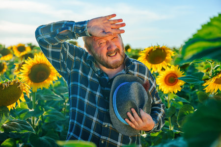 exhausted senior farmer in checkered shirt touching forehead while looking at camera. caucasian aged male worker feels tired after working in sunflower field. Concept Feeling and emotionsの写真素材