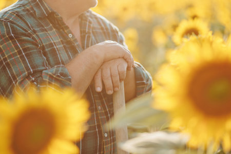 Field Artistry Detailed focus on the skilled hands of a seasoned farmer immersed in the agricultural landscape. Aged Agricultural Touch Close up view capturing the weathered handsの写真素材
