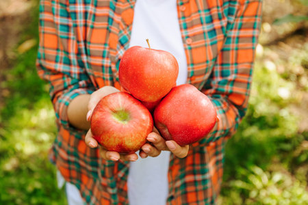 Unrecognizable female hand holding red apples on blurred background. Organic fruit. Farmers hands with freshly harvested apples. Fresh fruit.の写真素材