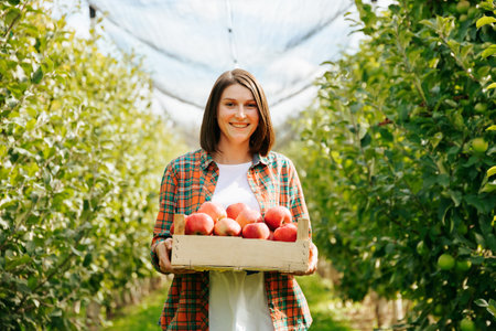 Front view looking at camera many ripe red apples in a wooden box in the hands of a young farmer girl. The harvest has ripened in the apple orchard, the worker has picked fruit. Stand smiling.の写真素材
