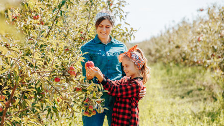 A farmer and his family bonding over a bountiful harvest of fresh apples in their orchard.の写真素材