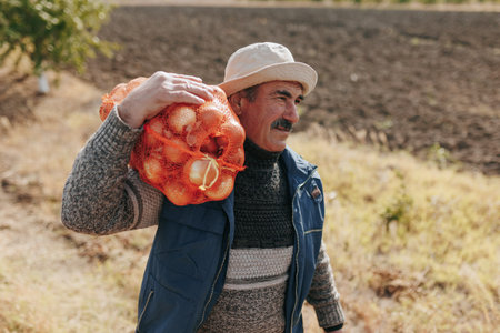 Capturing the essence of harvest time, a senior farmer works diligently, loading sacks of potatoes onto a farm vehicle in the picturesque rural landscape.の写真素材