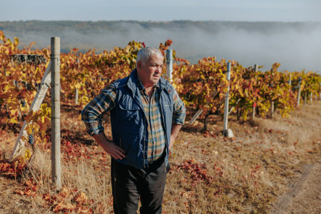 Expertise in winemaking comes alive in the actions of a senior farmer agronomist, gracefully working...