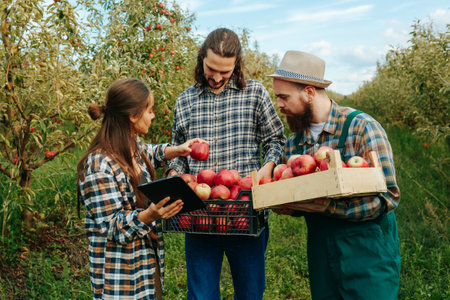 Front view three young farmers smiling while harvesting and monitoring its quality. Men and woman get along well good mood family business concept. Agribusiness farming gardening.の写真素材