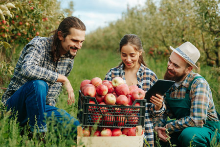 Front view three young farmer men are squatting apple orchard front of a basket of ripe red apples, looking serious. The brothers and sister examine fruits and record the data in an electronic device.の写真素材