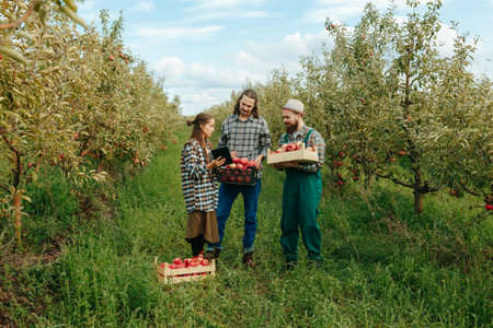 Front view 3 young people farmers men boxes hands woman a tablet examine apple fruits. Family business apple orchard young entrepreneurs agronomists green orchard young people analyze the harvest.の写真素材