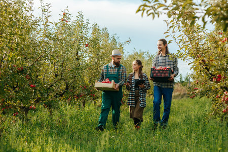 Two bearded mustachioed farmer field workers go and tell a woman about harvesting her tablet. Apple orchard, agricultural business, smiles on faces, success at work. Workers in the apple garden.の写真素材