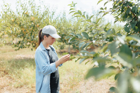 White Farmer Woman Checking Crop Health in an Orchard with a Cap on Her Headの写真素材