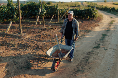 Senior Man Walking and Pushing Wheelbarrow in Agricultural Fieldの写真素材
