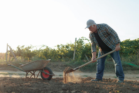 Senior Farmer Working with Soil and Wheelbarrow in Agricultural Fieldの写真素材