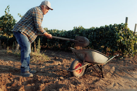 Senior Farmer Working with Soil and Wheelbarrow in Rural Sceneの写真素材