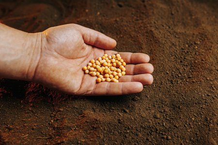 Hands planting seeds in soil for a sustainable garden projectの写真素材