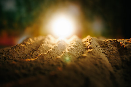 Warm sunlight illuminating soil with shadows and textures at dawnの写真素材
