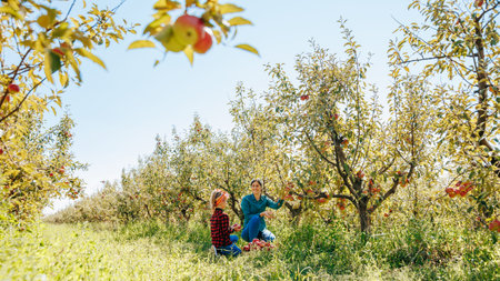 Enjoying a sunny day picking apples in an orchard with family