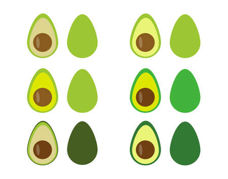 Whole and cut avocado fruit set in flat style. Isolated on white background.のイラスト素材