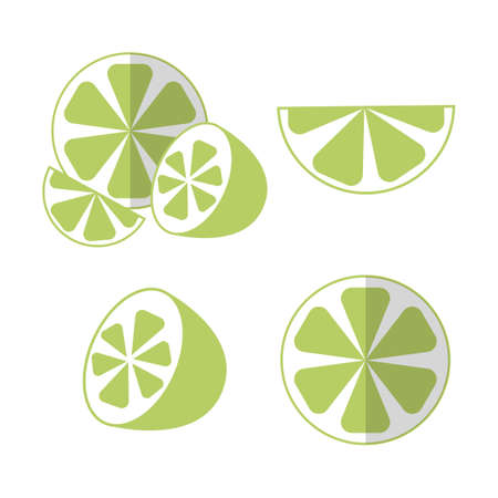 Lime set halved and sliced pieces in flat style with shadow. Isolated vector illustration.のイラスト素材