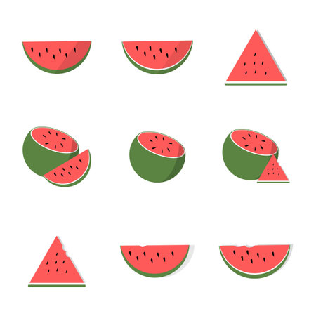 Watermelon whole and slice set vector illustration isolated
