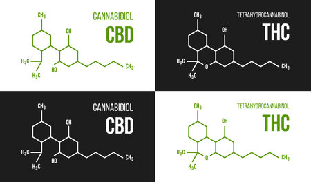 THC and CBD molecular structure illustrations set. Cannabinol and Tetrahydrocannabinol chemistry cannabis formula vector isolatedのイラスト素材
