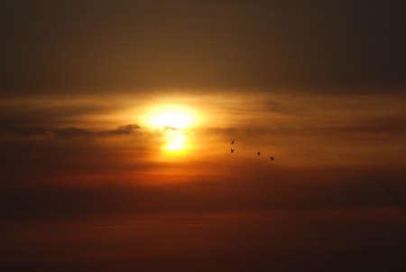 Mysterious and mysterious sunset. The autumn, evening sun was covered with unusual clouds. Birds fly south.の写真素材