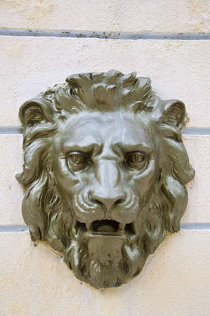 Lion on the wallの写真素材