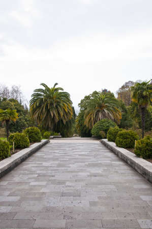 The park arboretumの写真素材