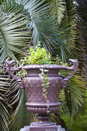 The park arboretumの写真素材