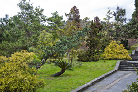 The park arboretumの写真素材