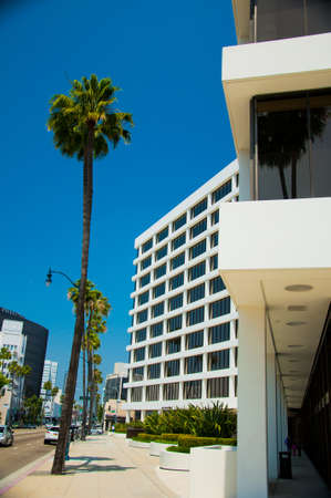 Palm trees and modern architectureのeditorial素材