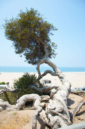 Typical Seascapeの写真素材