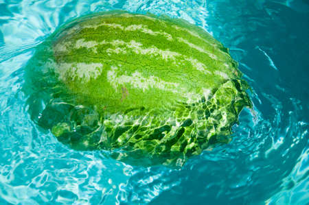 Watermelon in the pool.の写真素材