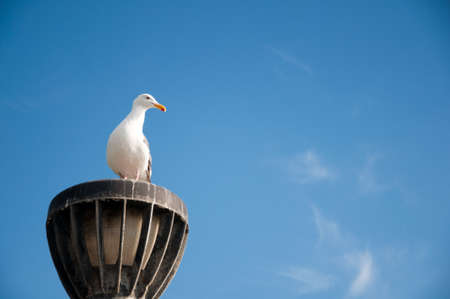 wonderful landscape with blue sky and white cloudの写真素材
