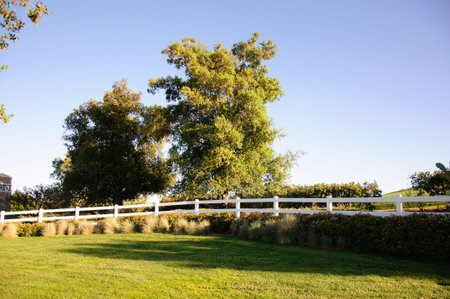 Santa Claritaの写真素材