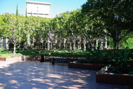 City park with modern building background in Los Angeles California