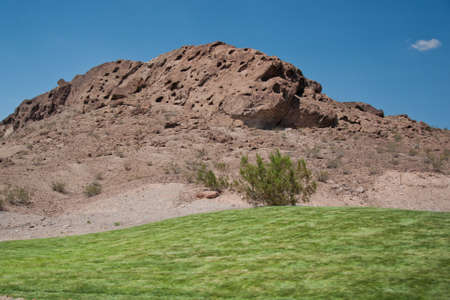 Tree against the sky in sunny dayの写真素材