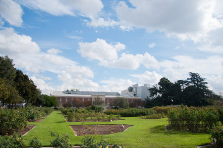 Center Park