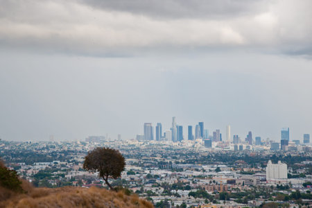 Los Angeles skyscrapers