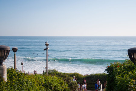 View on Pacific Ocean in sunny day