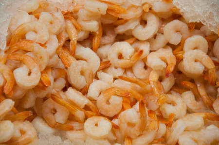 Ready shrimp in one of the buffetの写真素材