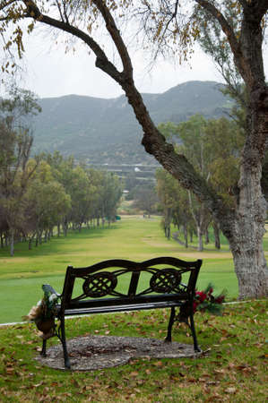 Center Parkの写真素材