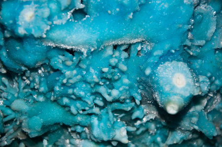 Close up of one the mineral crystal. natural stone