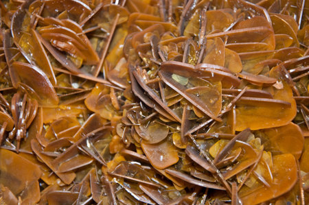Close up of one the mineral crystal. natural stone