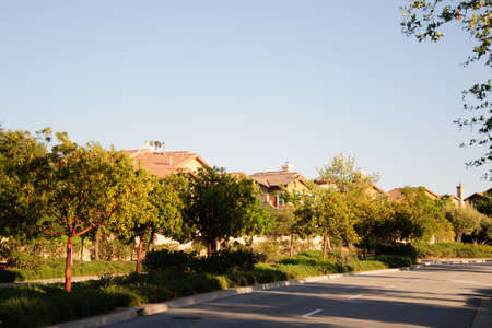 Pedestrian walkway for exercise and walkの写真素材