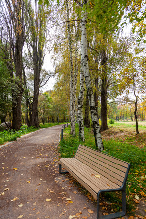 Road and bench covered with yellow fallen leaves in autumn park, Almaty, Kazakhstan