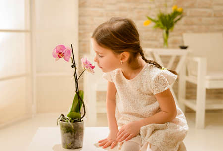 Cute little girl playing with orchid flowers, smelling them, indoor shotの写真素材